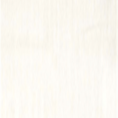 Tempotest Home White 15/0 124-inch Sheer Collection Upholstery Fabric