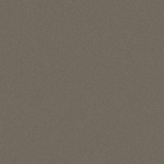 Outdura Solids Taupe 5412 Modern Textures Collection Upholstery Fabric