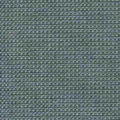 Tempotest Home Michelangelo Carbon 50964/17 Strutture Collection Upholstery Fabric
