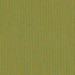 Sunbrella Canvas Lichen SJA 3970 137 European Collection Upholstery Fabric
