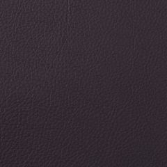 Aura Retreat Espresso SCL-014 Upholstery Fabric