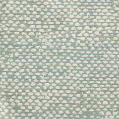 Bella Dura Conga Seaglass 30211A1-13 Upholstery Fabric