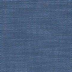Perennials Rough 'n Rowdy Blueberry 955-213 Beyond the Bend Collection Upholstery Fabric