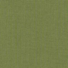 Sunbrella Spectrum Cilantro 48022-0000 Elements Collection Upholstery Fabric