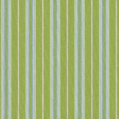 Tempotest Home Presidio Kiwi 5414/16 Fifty Four Vol I Upholstery Fabric