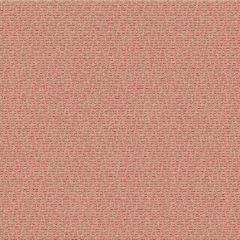 Outdura Flurry Cherry 6928 Ovation 3 Collection - Glowing Passion Upholstery Fabric