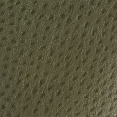 Skin Tex Ostrich SO-332 Dark Green Outdoor Upholstery Fabric