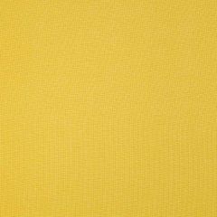 Bella Dura Sonnet Goldenrod 31606A7-16 Upholstery Fabric