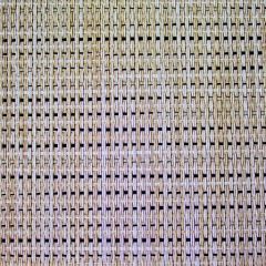 By the Roll - Textilene Sunsure Birch Forest T91HCT008 54 inch Sling / Shade Fabric