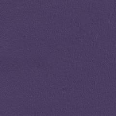 Olympus Boltasport Deep Violet OLY145 Multipurpose Upholstery Fabric