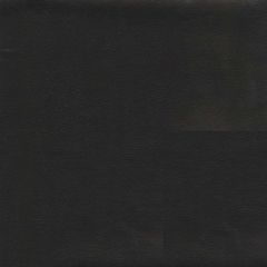 Sierra 9009 Black Automotive and Interior Upholstery Fabric