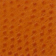 Skin Tex Ostrich SO-317 Persimmon Outdoor Upholstery Fabric