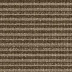 Outdura Delaney Granite 4877 The Ovation II Collection Upholstery Fabric