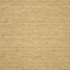 Sunbrella Casteele-Straw 5318-0001 Sling Upholstery Fabric