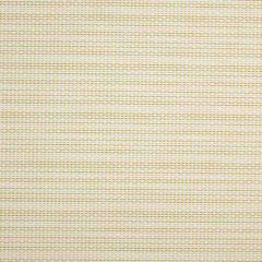 Bella Dura Chimera Key Lime 29580D8-3 Upholstery Fabric