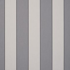 Dickson Sienne Dark Gray / Light Gray Wide Stripe 8931 North American Collection Awning / Shade Fabric