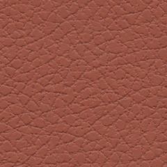 Ultrafabrics Brisa 303-5245 Cinnabar Upholstery Fabric