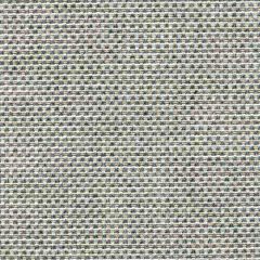 Tempotest Home Michelangelo Silver Beige 50964/23 Strutture Collection Upholstery Fabric