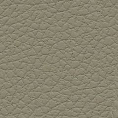 Ultrafabrics Brisa 303-3915 Putty Upholstery Fabric
