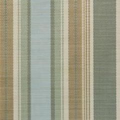 Phifertex Raleigh Stripe Willow DAI 54-inch Sling / Mesh Upholstery Fabric