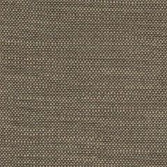Perennials Ishi Chai 950-110 Galbraith and Paul Collection Upholstery Fabric
