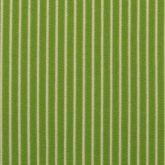 Duralee Sunbrella Spring Green 15351-254 Pavilion Stripes Upholstery Fabric