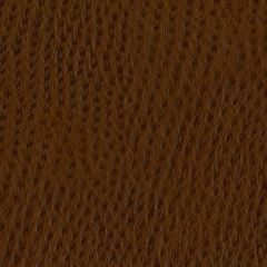 Nassimi Phoenix 010 Outback Faux Leather Upholstery Fabric