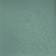 Olympus Boltasport Spa OLY370 Multipurpose Upholstery Fabric
