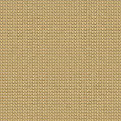 Serge Ferrari Batyline Duo Ginger 7300-50871 Sling Upholstery Fabric - by the roll(s)