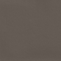 Olympus Boltasport Gunmetal OLY235 Multipurpose Upholstery Fabric