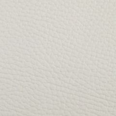 Beluga 3303 Off White Marine Upholstery Fabric