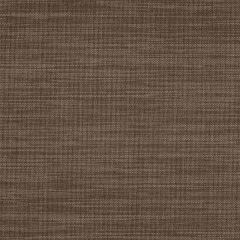 Sunbrella Augustine Espresso 5928-0017 Sling Upholstery Fabric