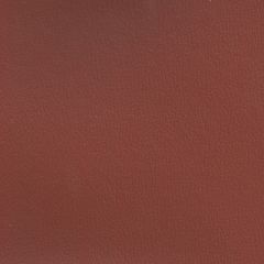 Olympus Gingersnap OLY220ADF Multipurpose Upholstery Fabric