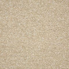 Sunbrella Surface Sand 5324-0002 Sling Upholstery Fabric