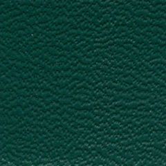 Weblon Vanguard Glade Green 2911 Awning Fabric