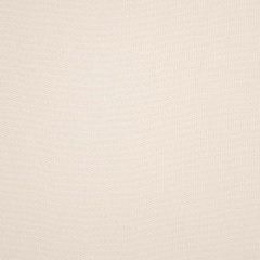 Bella Dura Neptune Ecru 31431A1-1 Upholstery Fabric