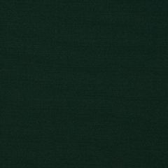 Sunbrella Forest Green 8653-0060 60 in. Exceed FR Awning Fabric