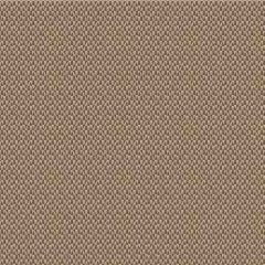 Outdura Reflections Straw 9229 Ovation 3 Collection - Earthy Balance Upholstery Fabric