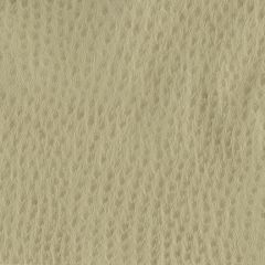 Nassimi Phoenix 007 Fog Faux Leather Upholstery Fabric