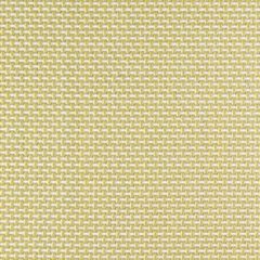 Sunbrella Augustine Pear 5928-0040 Sling Upholstery Fabric