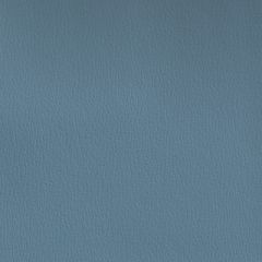 Olympus Lake OLY290ADF Multipurpose Upholstery Fabric