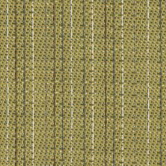 Sunbrella Shangrila-Seagrass 50170-0000 Sling Upholstery Fabric