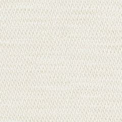 Perennials Nit Witty Sea Salt 930-124 Camp Wannagetaway Collection Upholstery Fabric