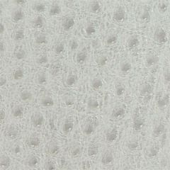 Skin Tex Ostrich SO-351 Porcelain Outdoor Upholstery Fabric