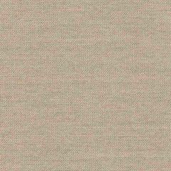 Tempotest Home Toffee 106/0 Solids Collection Upholstery Fabric