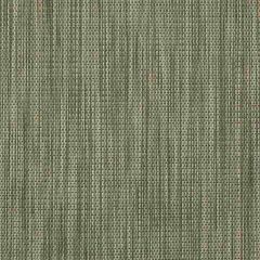Textilene Sunsure Autumn Fern T91HCT010 54 inch Sling / Shade Fabric