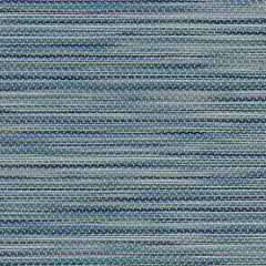 Phifertex Kozo Jewel LIW 54-Inch Cane Wicker Collection Sling Upholstery Fabric