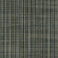 Phifertex Sarasa Heron LIX 54-Inch Cane Wicker Collection Sling Upholstery Fabric
