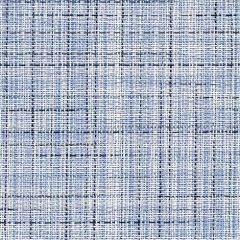 Phifertex Charm Ice Blue LLQ 54-Inch Cane Wicker Collection Sling Upholstery Fabric