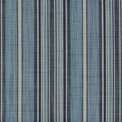 Phifertex Dakota Stripe Blueprint LMR 54-inch Stripes Collection Sling Upholstery Fabric